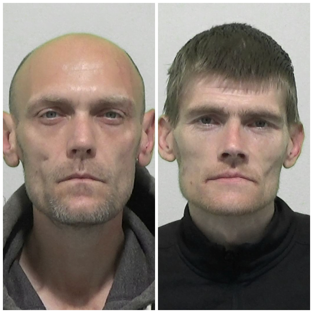 Thieving brothers who racked up almost 50 shoplifting offences between them have been jailed